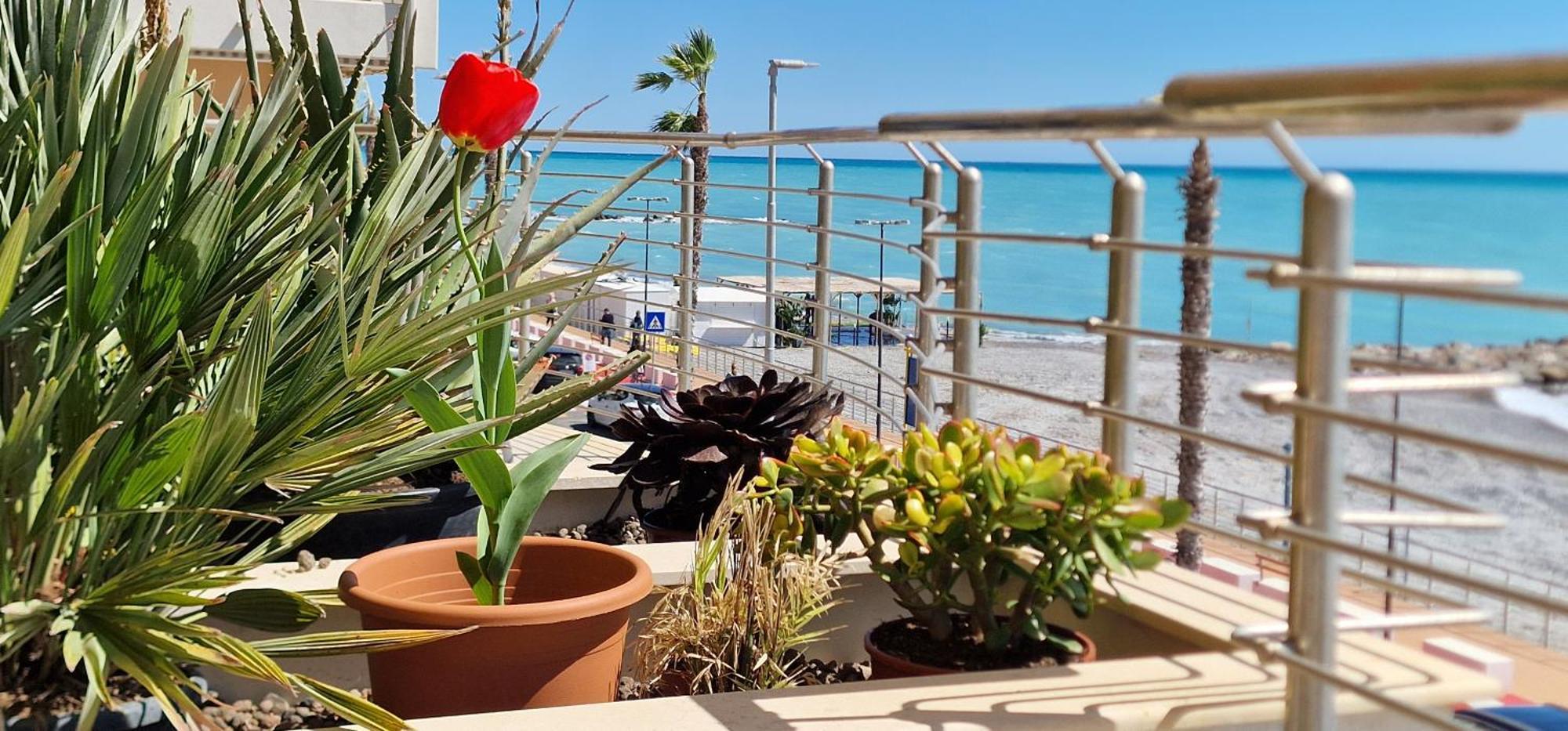 Mare Blu Apartment Ventimiglia Bagian luar foto